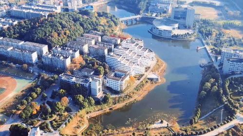 邵陽學院花巨資引海歸博士 批量培養(yǎng)是否可取