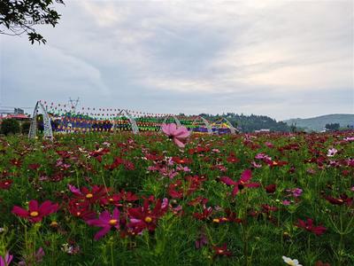 新塘村_湖南省邵陽市大祥區檀江鄉新塘村