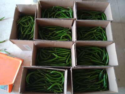 邵陽縣石虎村綠色農(nóng)特產(chǎn)品直播網(wǎng)紅豪哥